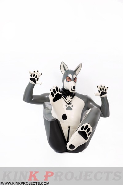 Male Grey Donkey Latex Catsuit