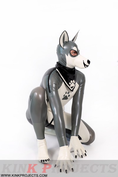 Male Grey Donkey Latex Catsuit