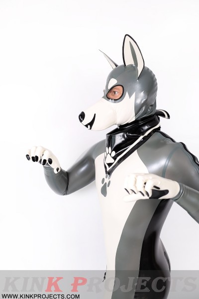 Male Grey Donkey Latex Catsuit